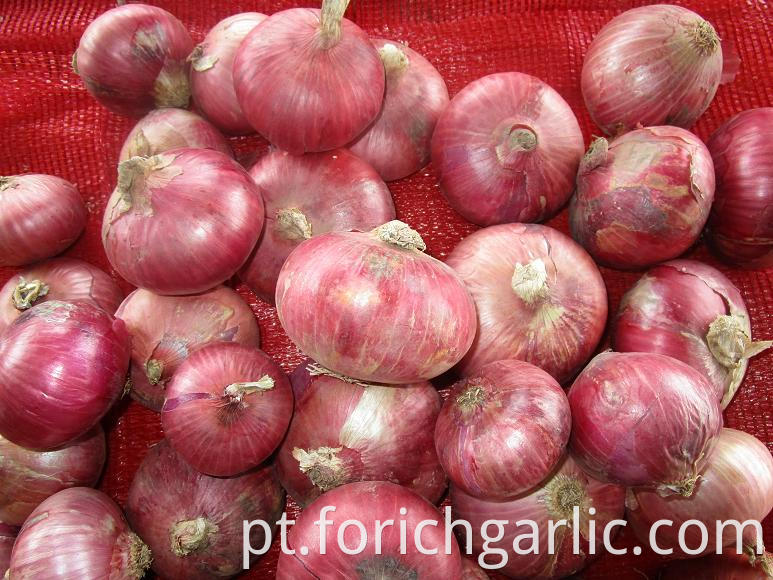 Red Onion